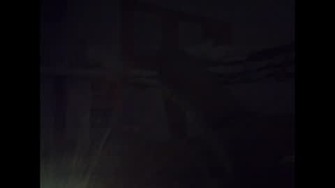 cockfanx online show from November 17, 11:38 pm