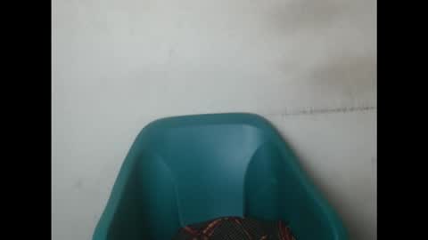Snapshot of creamyxmuffin chatting on September 15, 7:49 am creamyxmuffin online show from September 15, 7:49 am