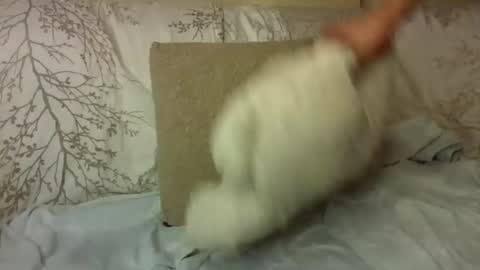 creamyy_pussy online show from June 2, 8:54 pm