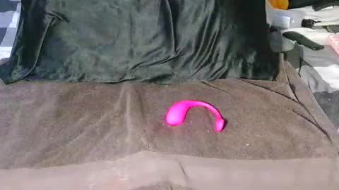 Creature N Critter online show from February 14, 10:23 pm