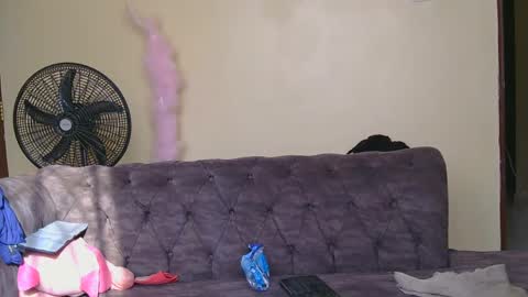 curtis online show from February 20, 1:51 pm