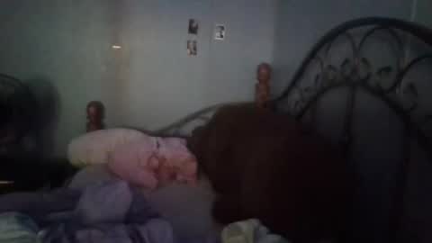 dahlia -kim online show from December 7, 9:44 pm