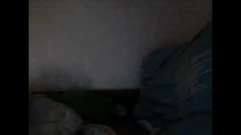 cutekattie online show from January 7, 2:53 am