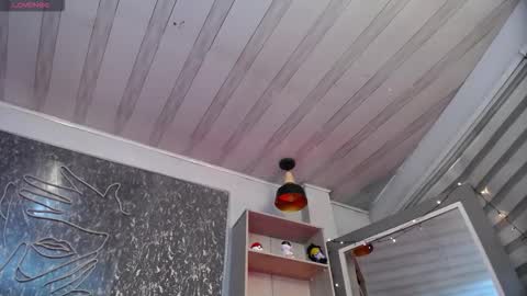 Dahlia online show from February 5, 11:46 am