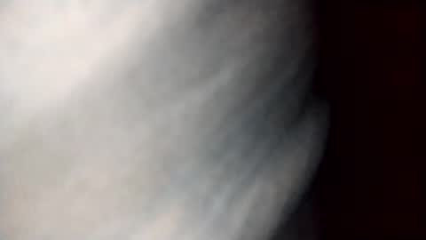 Snapshot of dalila_22 chatting on October 19, 9:44 am Dalila online show from October 19, 9:44 am