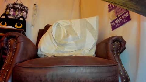 danidollxxx online show from October 9, 3:54 am