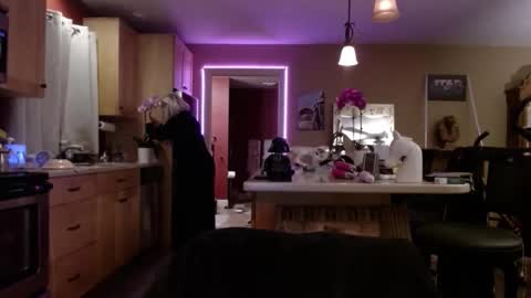 Snapshot of danikawhite69 chatting on October 21, 9:46 am DanikaWhite69 online show from October 21, 9:46 am