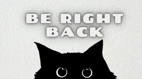 darling  online show from March 3, 10:43 am