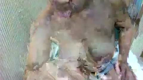 Daszler online show from October 31, 2:46 am