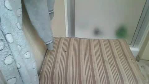 Daszler online show from October 24, 8:21 am