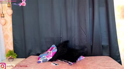 Snapshot of denise_wolfe chatting on September 29, 12:21 pm Denisse online show from September 29, 12:21 pm