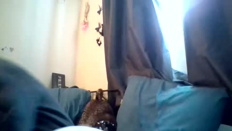 dianarussell864 online show from February 19, 11:54 am