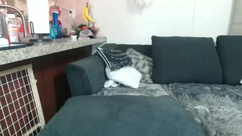 Sofie online show from December 23, 8:33 am