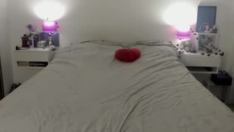 Snapshot of dissasterology chatting on October 23, 3:23 am Lena online show from October 23, 3:23 am