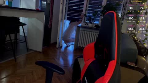 Snapshot of dorfmatratze_ chatting on December 26, 6:41 am Alice online show from December 26, 6:41 am