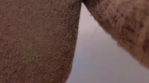 Dorothy Next stream on Monday at 3am-9am online show from November 5, 5:12 am