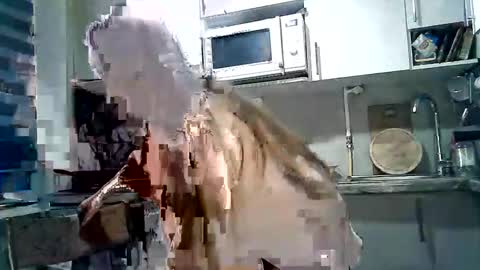 Dorrie Ann online show from November 22, 5:10 am