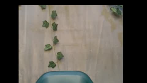 Snapshot of dripqueenx chatting on November 1, 10:14 pm linda online show from November 1, 10:14 pm