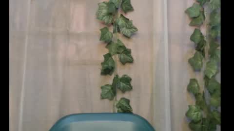 Snapshot of dripqueenx chatting on September 29, 12:21 pm linda online show from September 29, 12:21 pm