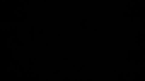 Dreamie online show from December 5, 4:53 am