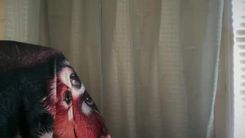 americnbarbie online show from November 8, 6:57 pm