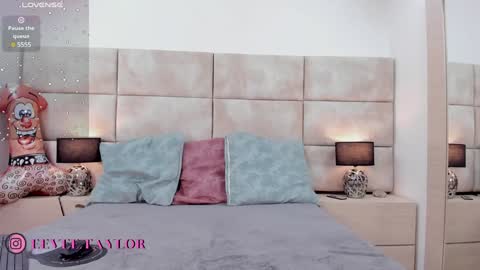 Eevee online show from December 2, 12:17 pm