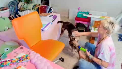 ejrabloom online show from March 21, 3:06 pm