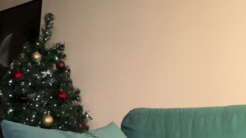 Nina online show from December 15, 7:31 pm