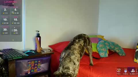 Snapshot of elisuarez_ chatting on October 8, 7:24 am Eliss online show from October 8, 7:24 am