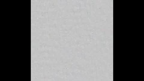 Ely online show from October 6, 11:38 am