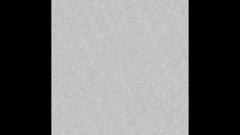 Ely online show from December 21, 11:22 am