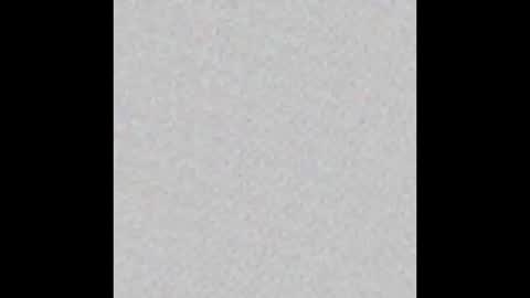 Ely online show from January 22, 11:23 am