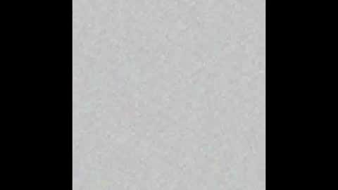 Ely online show from February 3, 11:31 am