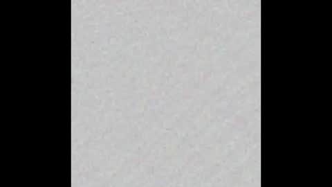 Ely online show from September 22, 11:41 am