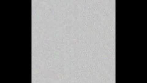 Ely online show from September 15, 11:51 am