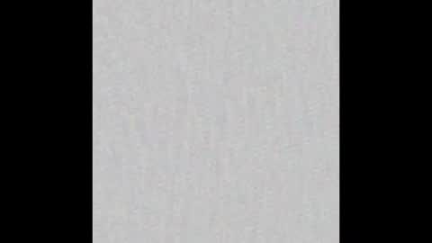 Ely online show from October 28, 11:16 am