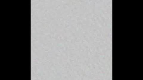 Ely online show from February 27, 11:31 am
