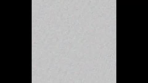 Ely online show from October 17, 11:35 am