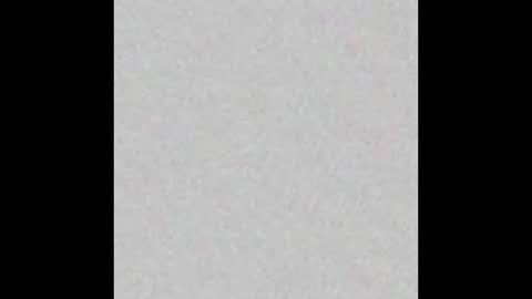 Ely online show from October 8, 11:36 am