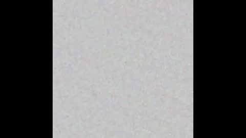 Ely online show from October 22, 11:26 am