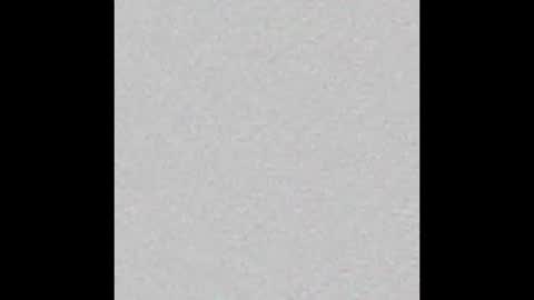 Ely online show from December 18, 11:24 am