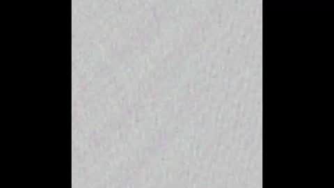 Ely online show from February 17, 11:23 am