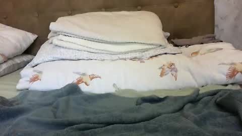 Snapshot of elyseblue chatting on September 24, 2:38 pm elyseblue online show from September 24, 2:38 pm