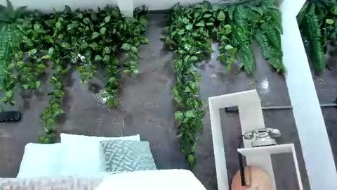 Emily online show from July 26, 2:14 pm