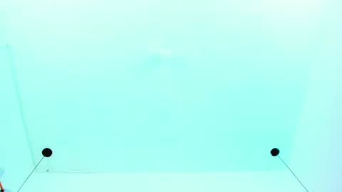 Emi  online show from January 6, 12:57 pm