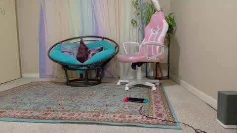 emily haze online show from November 7, 2:06 am