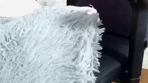 Snapshot of emma_foxi chatting on September 24, 10:09 pm Emma online show from September 24, 10:09 pm