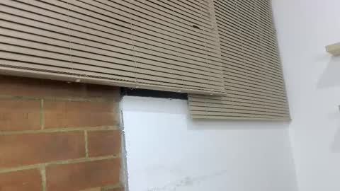 Estrella online show from January 8, 3:32 am