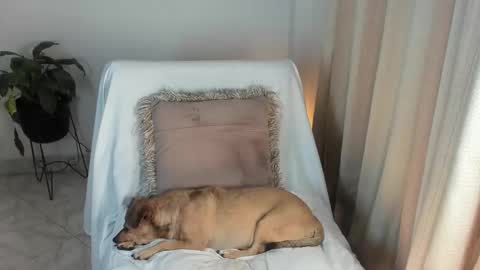 - E S T R E L L A  M I L F - online show from October 6, 4:18 am