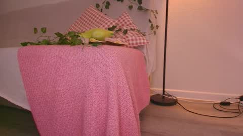 Eva Davis online show from January 16, 2:51 am